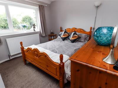 Picture 19